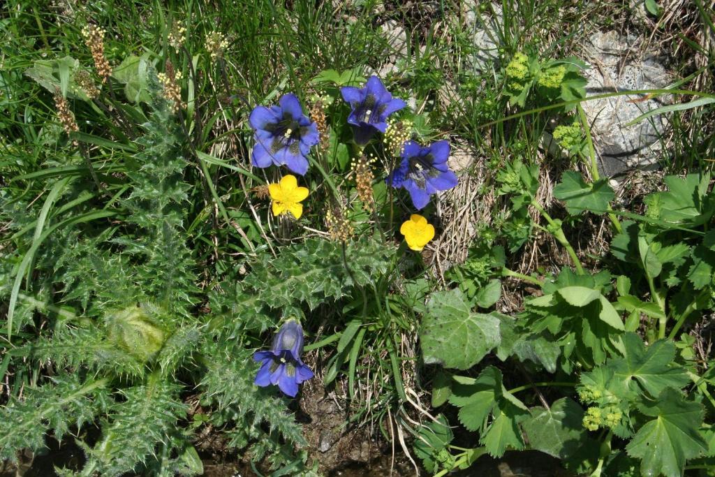 Le Châble Bnb Claudy Et Elizabeth Michellod-Dutheil מראה חיצוני תמונה